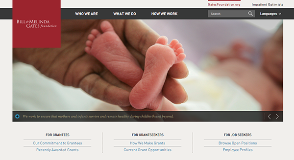 gates foundation responsive