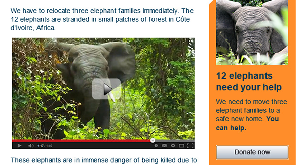 IFAW email