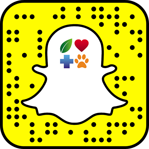 nonprofitorgs-snapcode-jpg