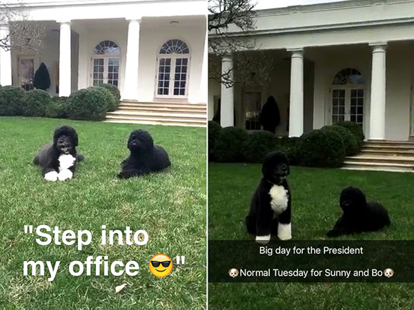 white house on snapchat