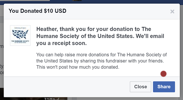Fundraising Tools On Facebook